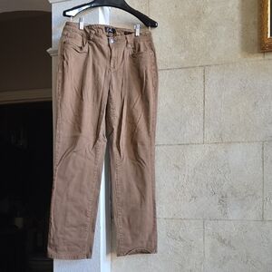 Earl Jeans Brown Casual Trousers